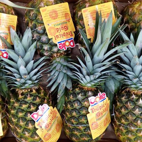 [龙吴果品]菲律宾都乐金菠萝2个装单果约3斤以上 进口新鲜水果 现货
